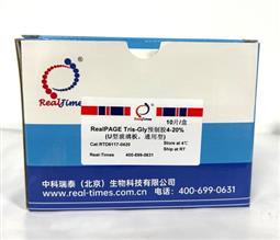 10%RealPAGE Tris-Glycine預(yù)制膠（塑料板） 11孔